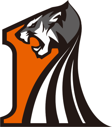 17 Gaming logo