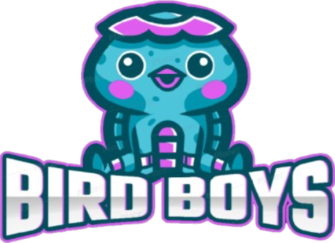 Bird Boys logo