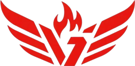 Nirvana Gaming logo